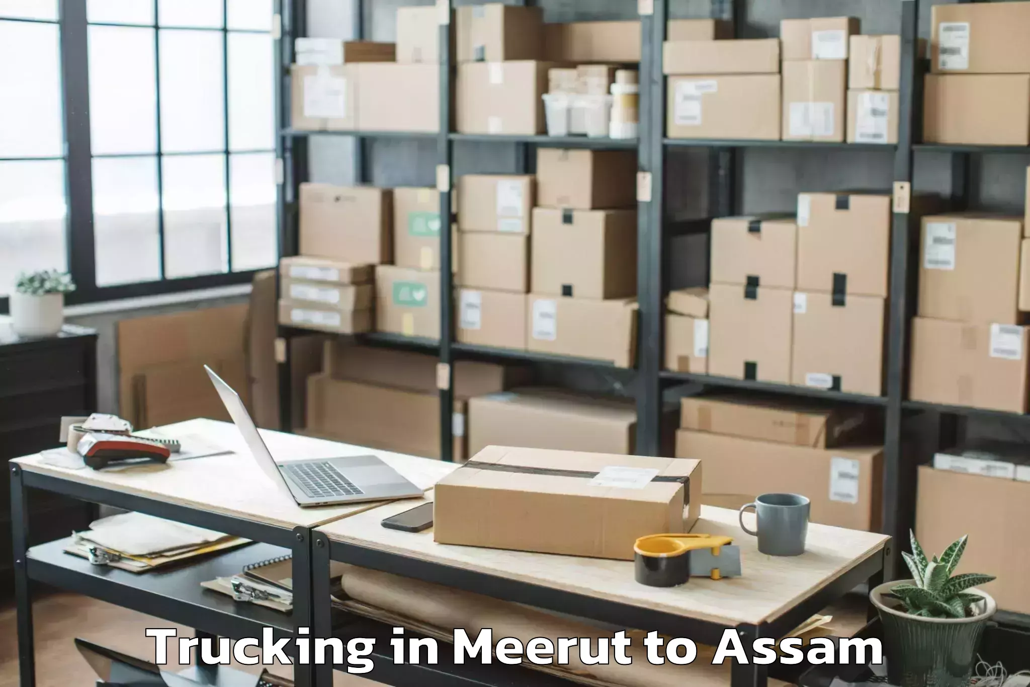 Meerut to Guwahati Trucking Booking